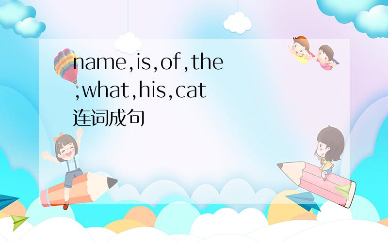 name,is,of,the,what,his,cat 连词成句