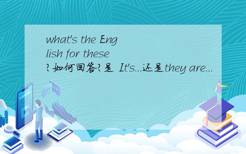 what's the English for these?如何回答?是 It's...还是they are...
