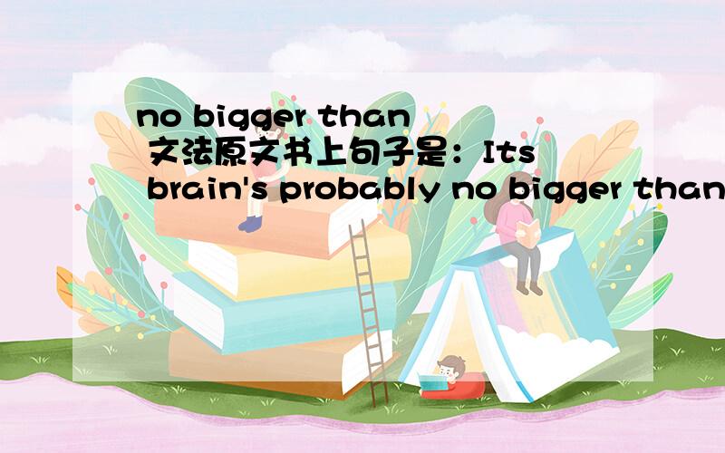 no bigger than 文法原文书上句子是：Its brain's probably no bigger than a bean.请问为什么不能用not bigger than?文法的解释是什么呢?