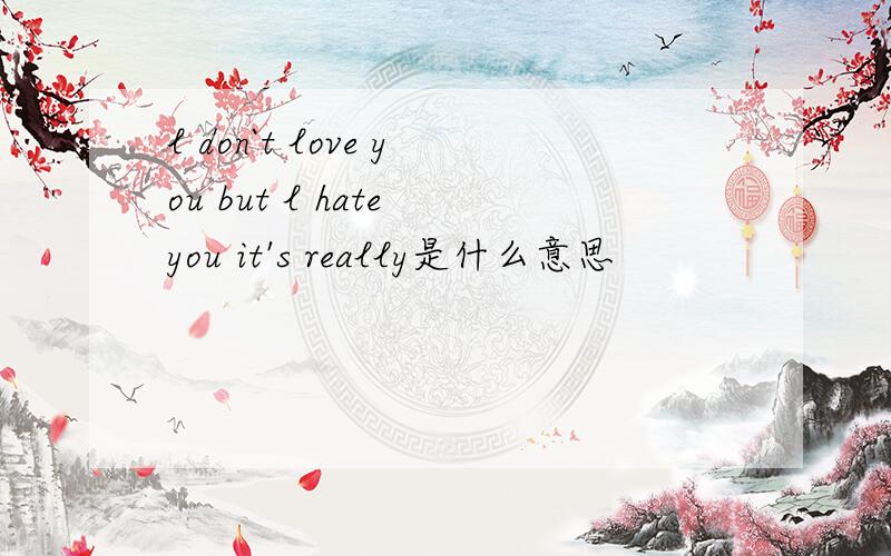 l don`t love you but l hate you it's really是什么意思