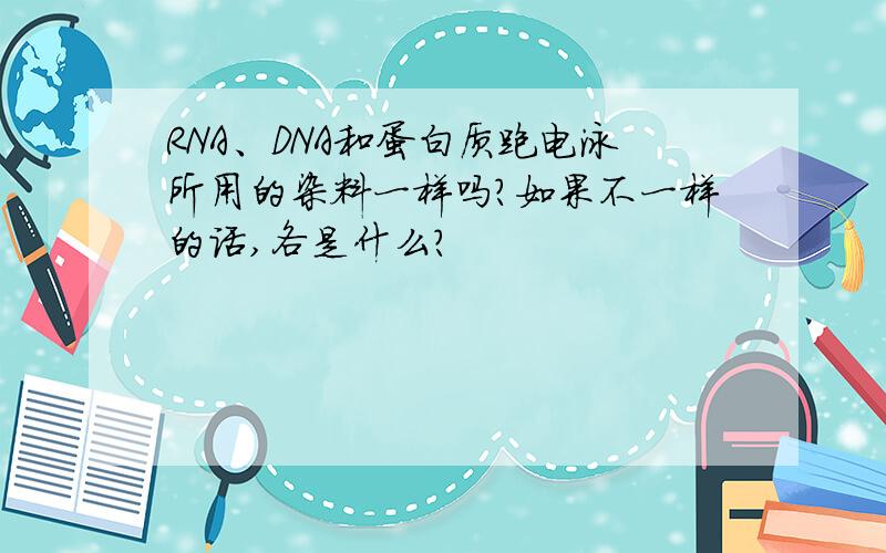 RNA、DNA和蛋白质跑电泳所用的染料一样吗?如果不一样的话,各是什么?